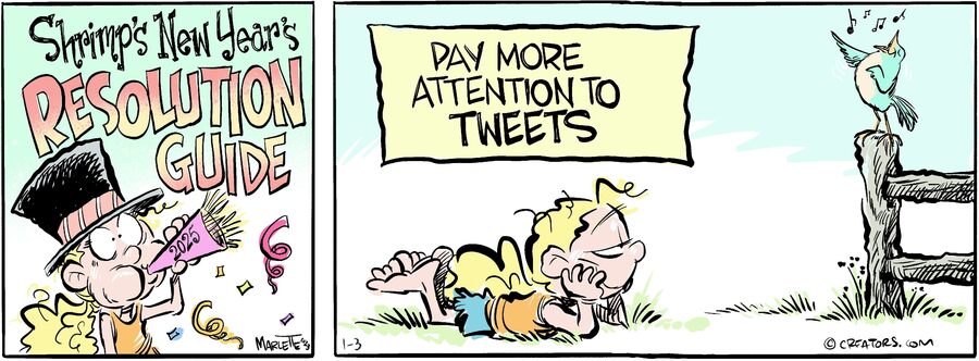 Shrimp and Grits for Jan 03, 2025