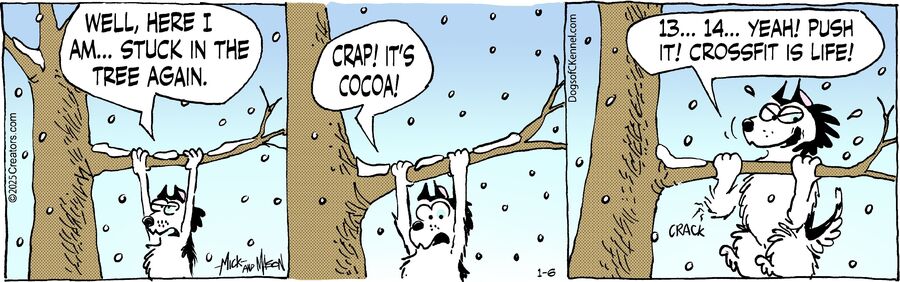 Dogs of C-Kennel for Jan 06, 2025