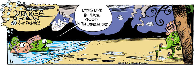 Strange Brew for Jan 12, 2025