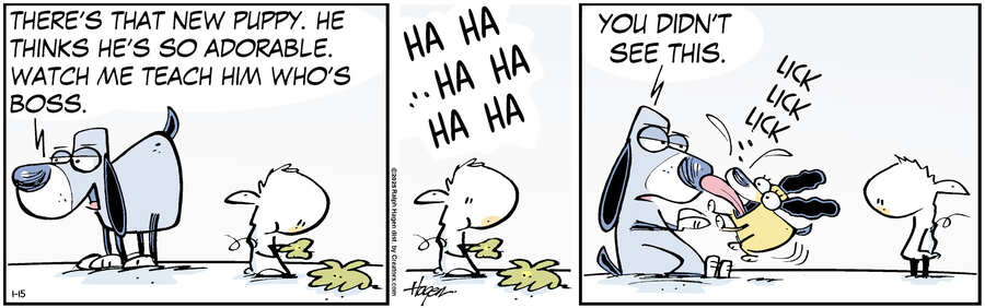 The Barn for Jan 15, 2025