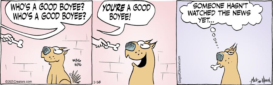 Dogs of C-Kennel for Jan 16, 2025