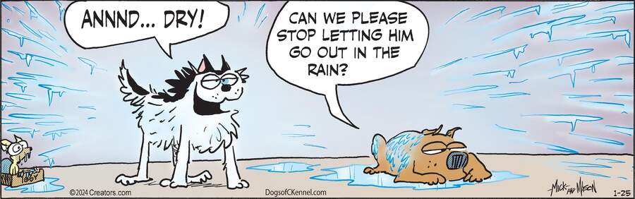 Dogs of C-Kennel for Jan 25, 2024