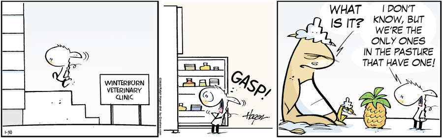 The Barn for Jan 30, 2025