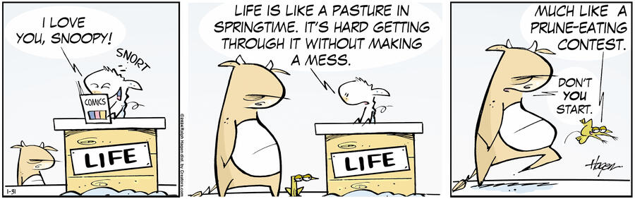 The Barn for Jan 31, 2024