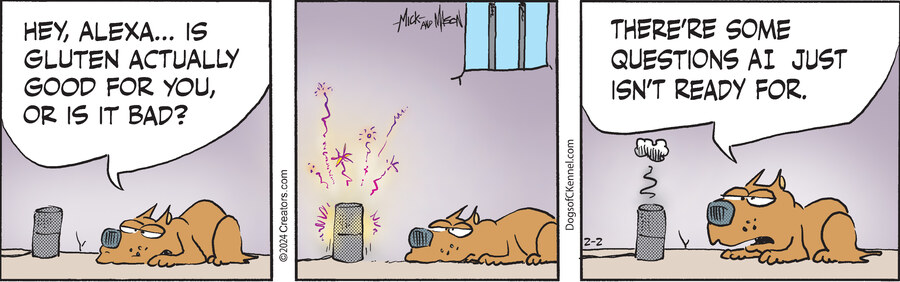 Dogs of C-Kennel for Feb 02, 2024