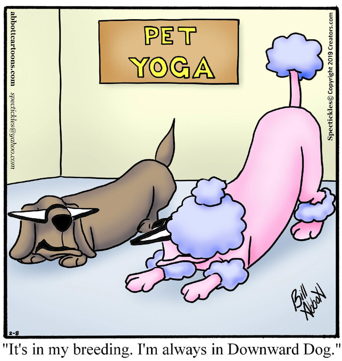 Spectickles for Feb 08, 2025