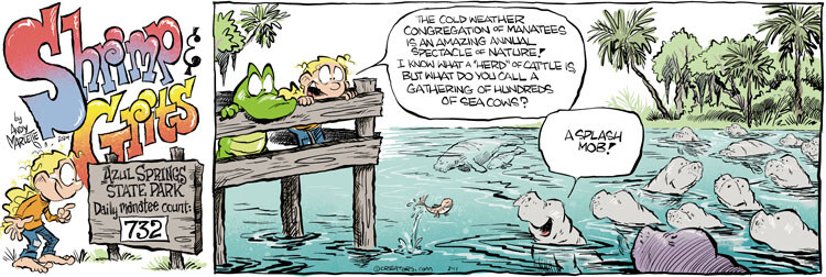 Shrimp and Grits for Feb 11, 2024