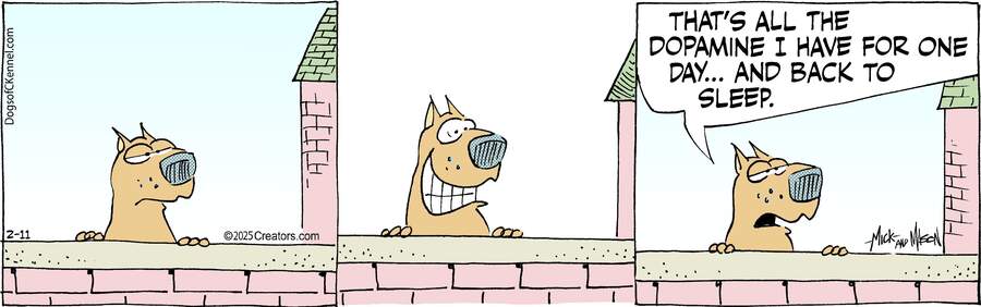 Dogs of C-Kennel for Feb 11, 2025