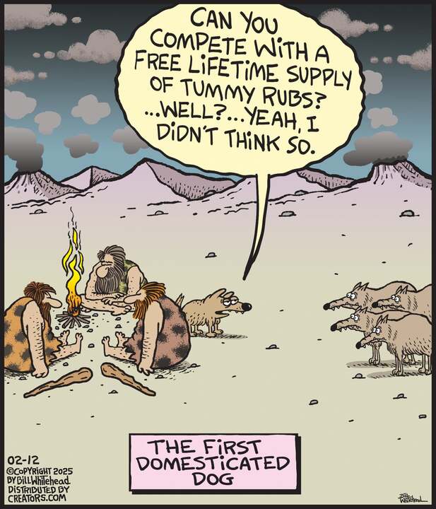 Free Range for Feb 12, 2025