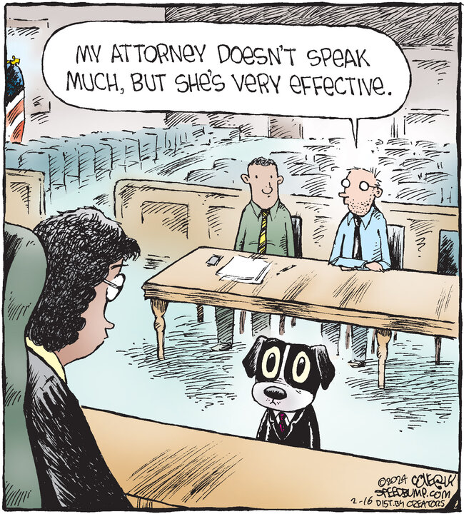 Speed Bump for Feb 16, 2024