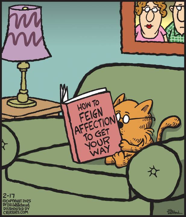 Free Range for Feb 17, 2025