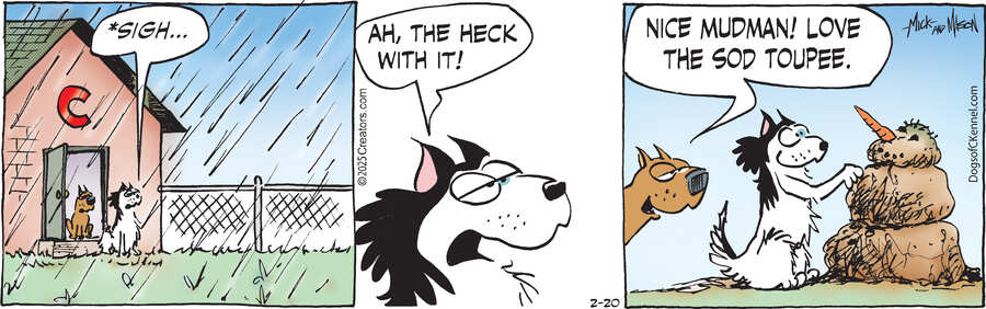 Dogs of C-Kennel for Feb 20, 2025