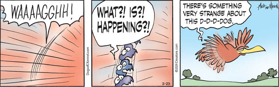 Dogs of C-Kennel for Feb 23, 2024