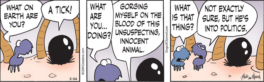 Dogs of C-Kennel for Feb 24, 2024