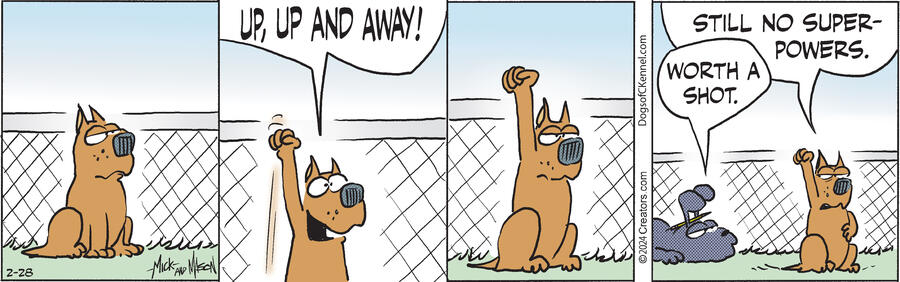 Dogs of C-Kennel for Feb 28, 2024