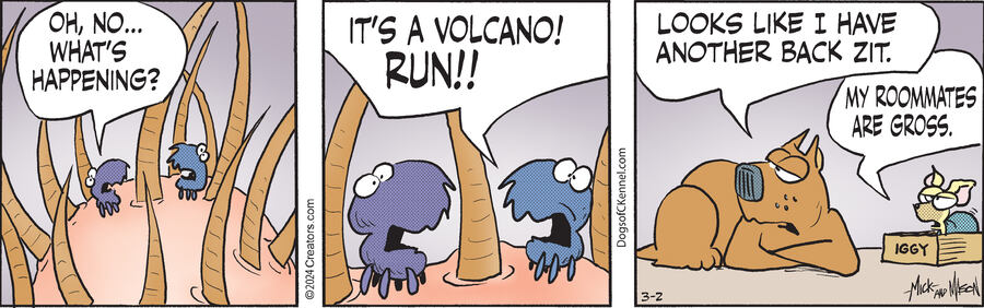 Dogs of C-Kennel for Mar 02, 2024