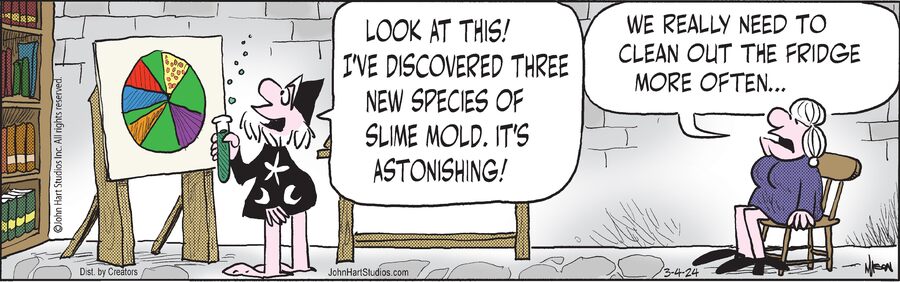 Wizard of Id for Mar 04, 2024