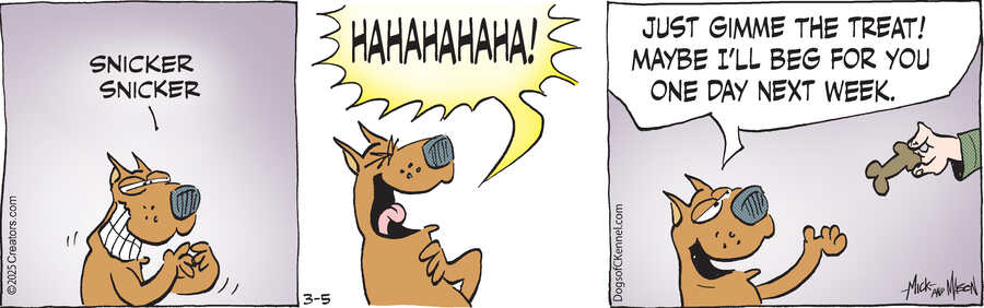 Dogs of C-Kennel for Mar 05, 2025