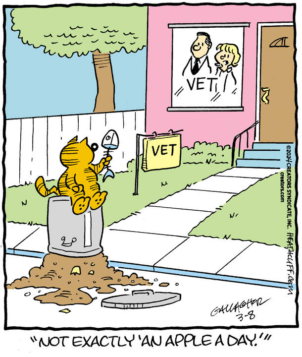 Heathcliff for Mar 08, 2024
