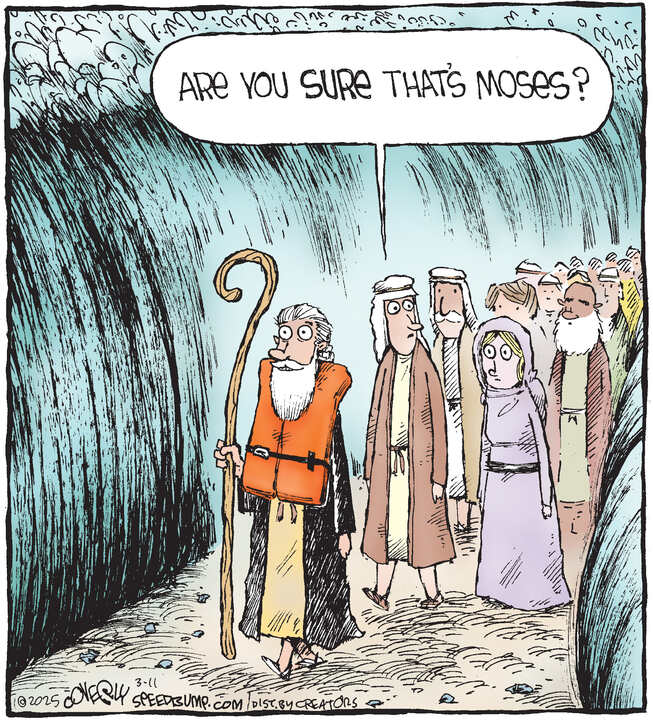 Speed Bump for Mar 11, 2025