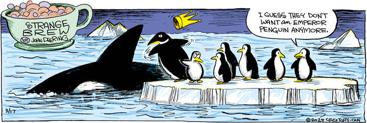 Strange Brew for Mar 17, 2024