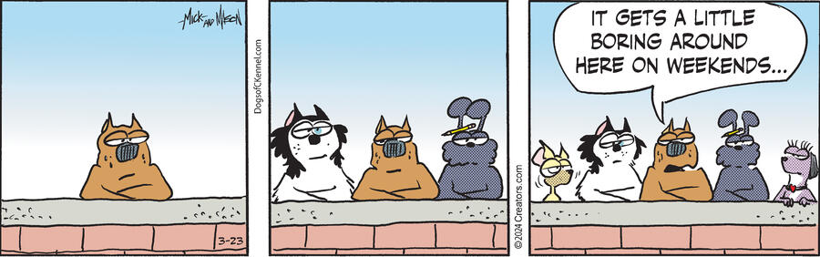 Dogs of C-Kennel for Mar 23, 2024