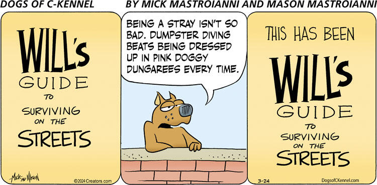 Dogs of C-Kennel for Mar 24, 2024