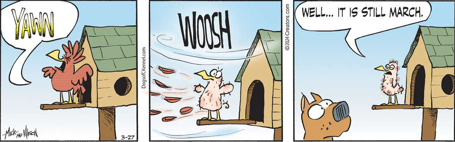 Dogs of C-Kennel for Mar 27, 2024