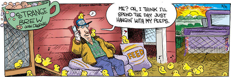 Strange Brew for Mar 31, 2024