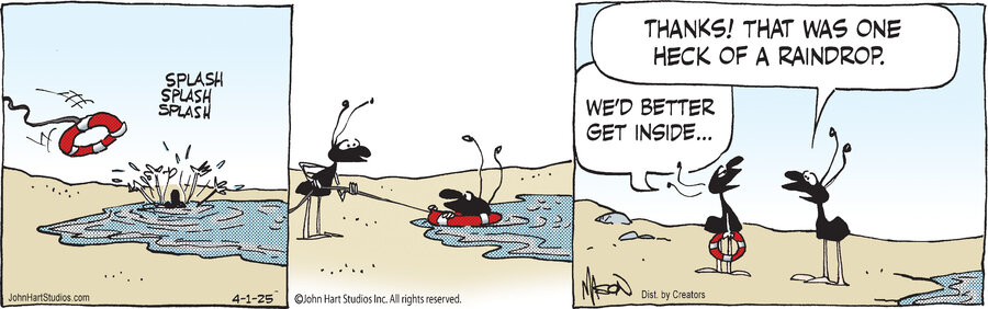 B.C. for Apr 01, 2025