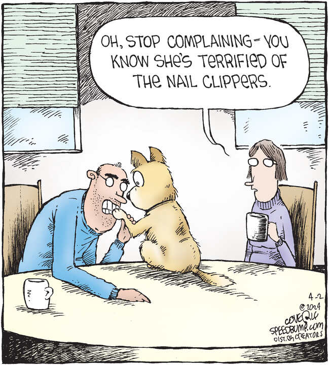 Speed Bump for Apr 02, 2024