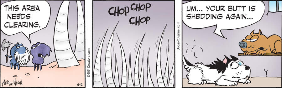 Dogs of C-Kennel for Apr 02, 2024