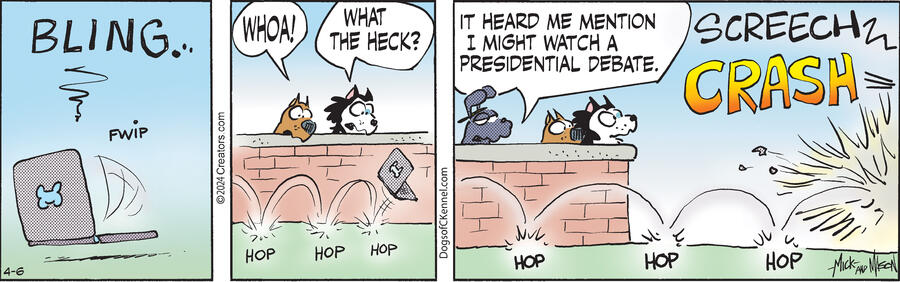 Dogs of C-Kennel for Apr 06, 2024