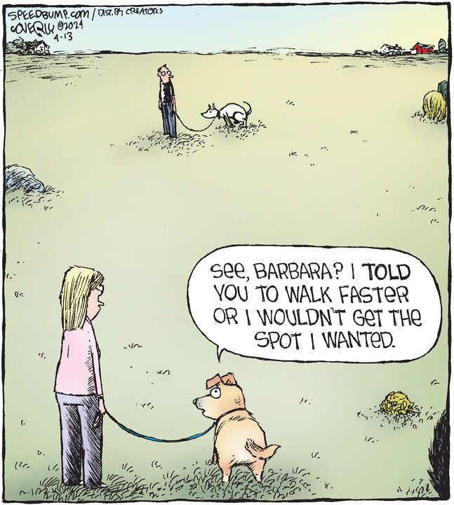 Speed Bump for Apr 13, 2024