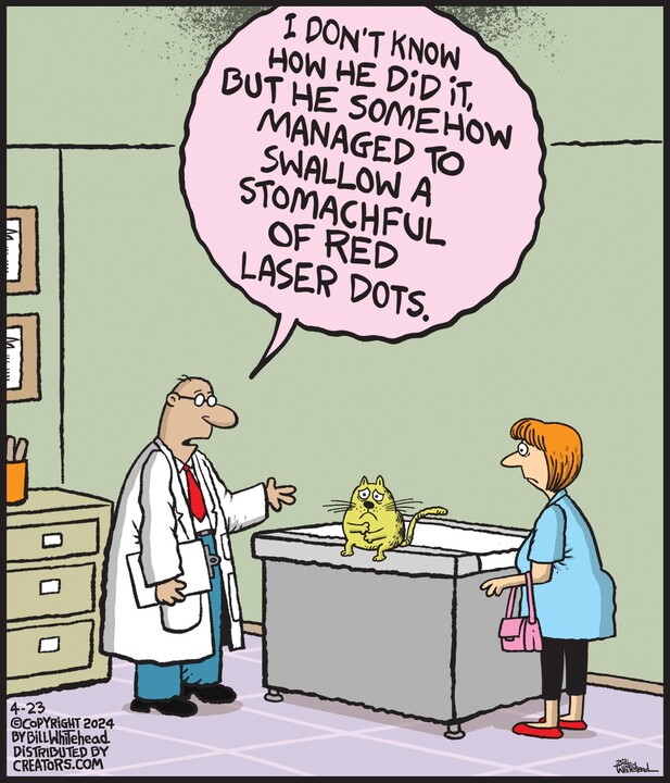 Free Range for Apr 23, 2024