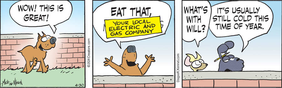 Dogs of C-Kennel for Apr 30, 2024