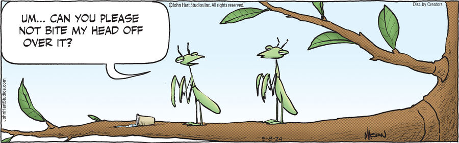 B.C. for May 08, 2024