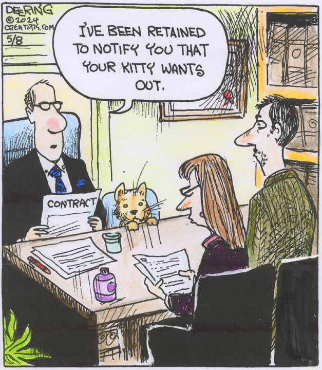 Strange Brew for May 08, 2024