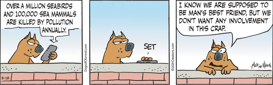 Dogs of C-Kennel for May 18, 2024