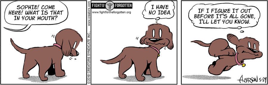 Dog Eat Doug for May 29, 2024