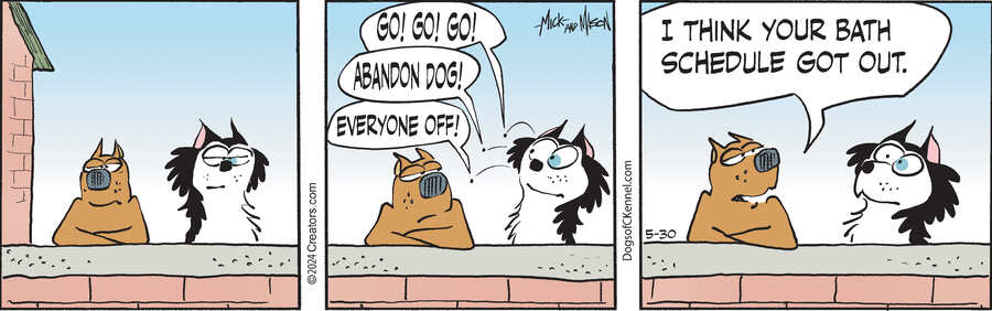 Dogs of C-Kennel for May 30, 2024