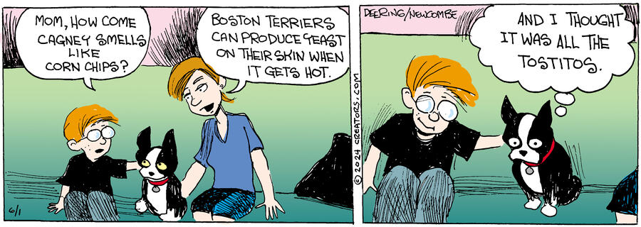 Zack Hill for Jun 01, 2024