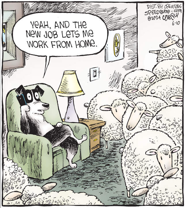 Speed Bump for Jun 10, 2024