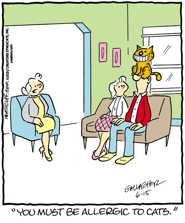 Heathcliff for Jun 15, 2024