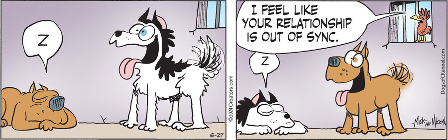 Dogs of C-Kennel for Jun 27, 2024