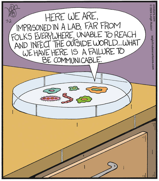 Rubes® for Jul 02, 2024