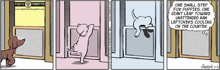 Dog Eat Doug for Jul 04, 2024