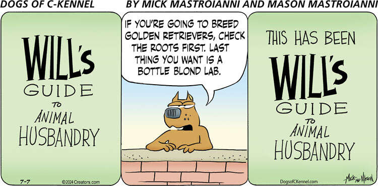 Dogs of C-Kennel for Jul 07, 2024