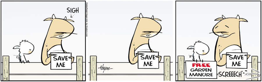 The Barn for Jul 12, 2024