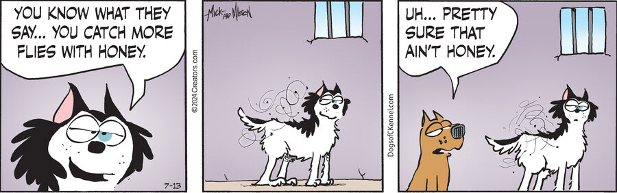 Dogs of C-Kennel for Jul 13, 2024
